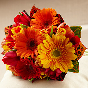 AF Gerbera and Tulip Combo