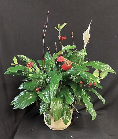 AF Ceramic Peace Lily With Red Bird