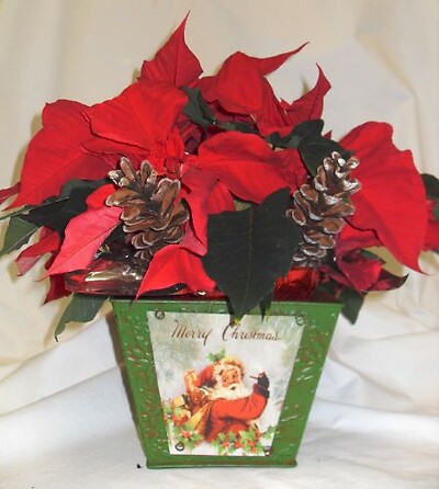 Arnold Florist Santa Tin (Short)