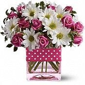 AF Cube with Pink Sweetheart Roses and Daisies