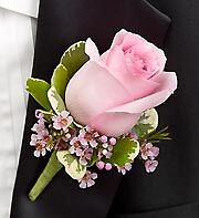 AF Pink Rose with Waxflower