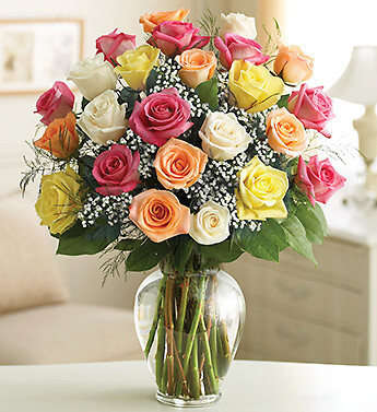 AF Two Dozen Mixed Roses Vased