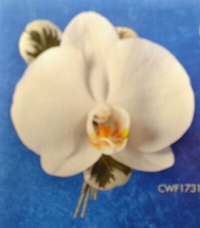 Phalaenopsis Orchid Boutonniere