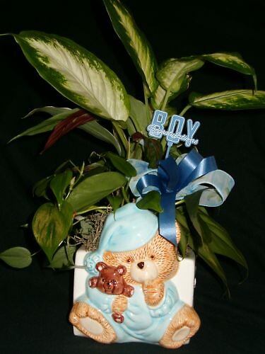 AF Baby Boy Bear Planter