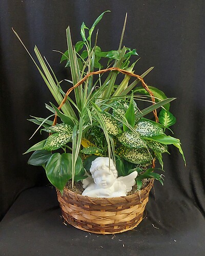 AF Dish Garden with Ceramic Angel