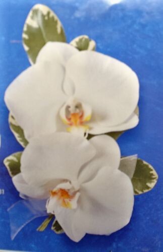 Phalaenopsis Orchid Corsage (Double)