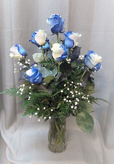 AF Variegated Blue Roses