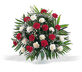 AF Red and White Carnation Basket