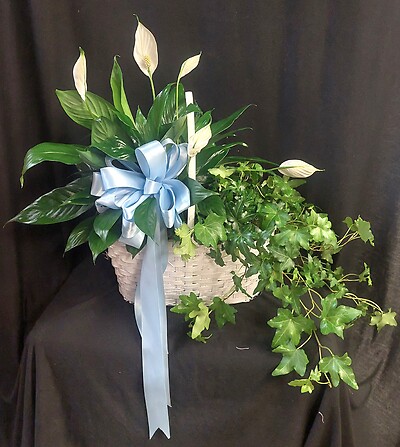 AF Double Basket Design 2