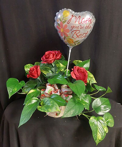 Happy Mother&#039;s Day Pothos Plant with Silks-Lady Bug