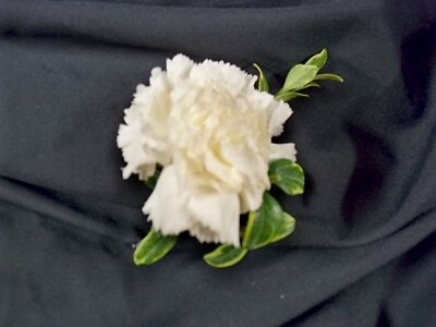 Carnation Boutonniere