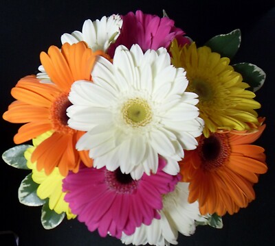 AF Gerbera Bouquet