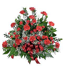 AF Red Carnation Spray