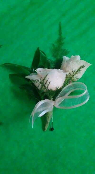 AF Elegant boutonniere with plumosa with ribbon loop